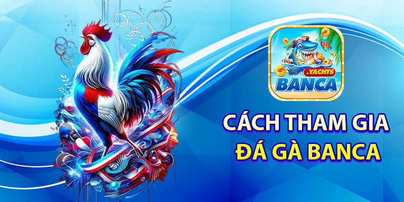 Cách Tham Gia Đá Gà Banca