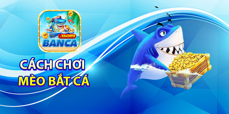 Cách chơi Mèo Bắt Cá tại Banca