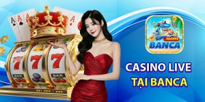 Casino Live Tại Banca Là Gì?