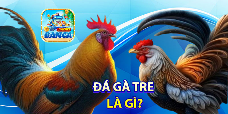 Đá Gà Tre là gì?